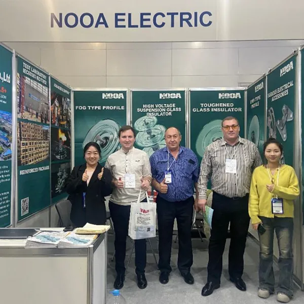 40kn Suspension Glass Insulator