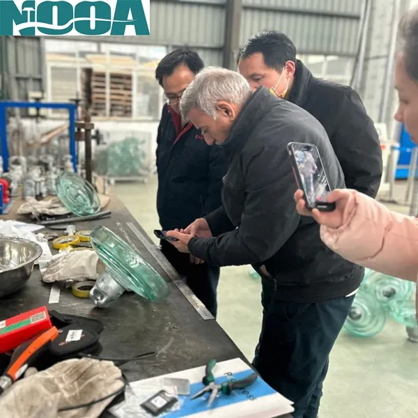 40kn Suspension Glass Insulator