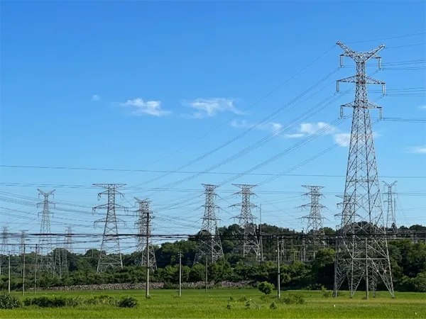 Where Are Glass Insulators Used: By Voltage, Environment and Project Type?