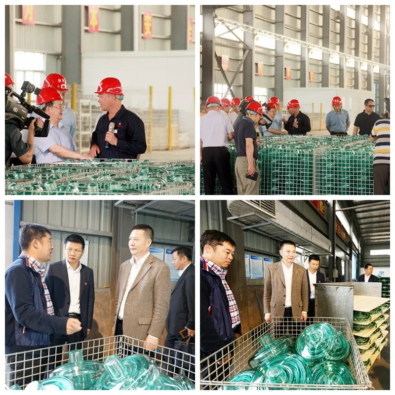 CTV 254 axe 14 Ukraine electric glass insulators