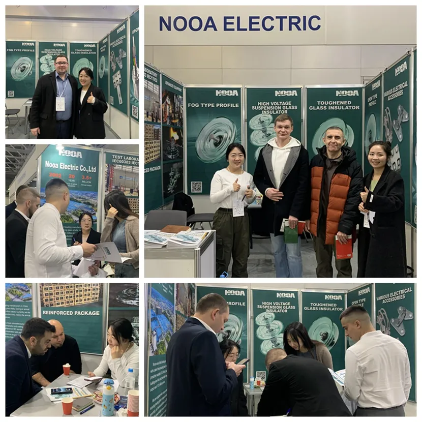33kV glass electrical insulators Russia exhibition