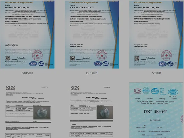 glass insulator test report - nooa electric