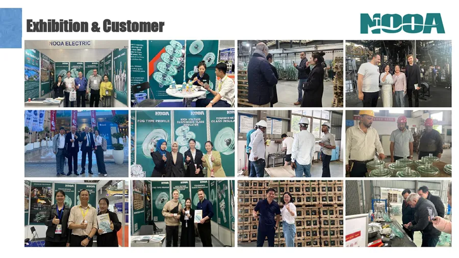 glass insulator exhibition