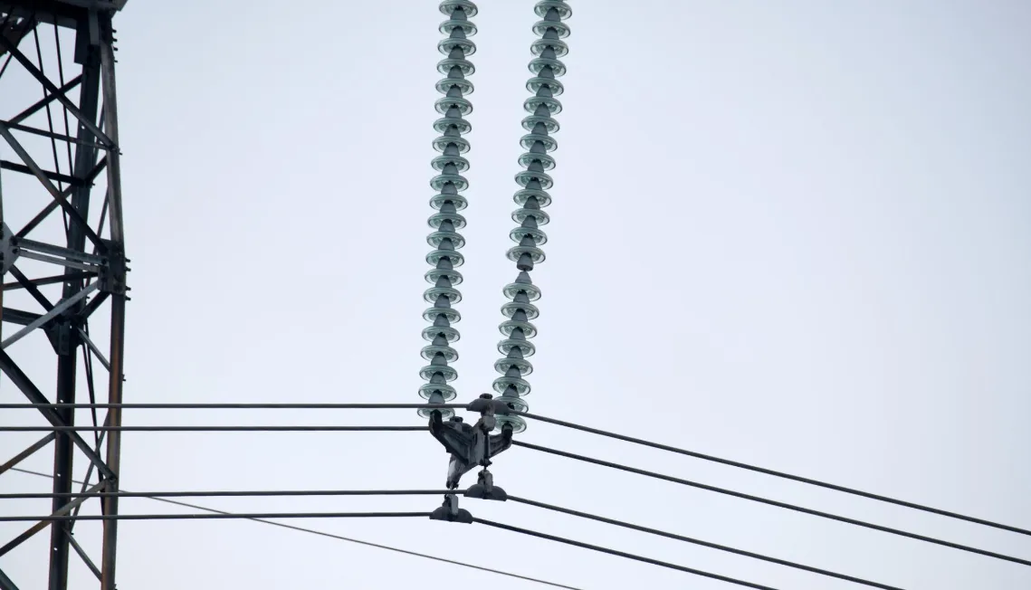 Glass Insulator Installation