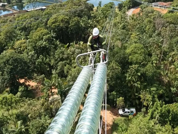 wide Application in Transmission and Distribution Systems
