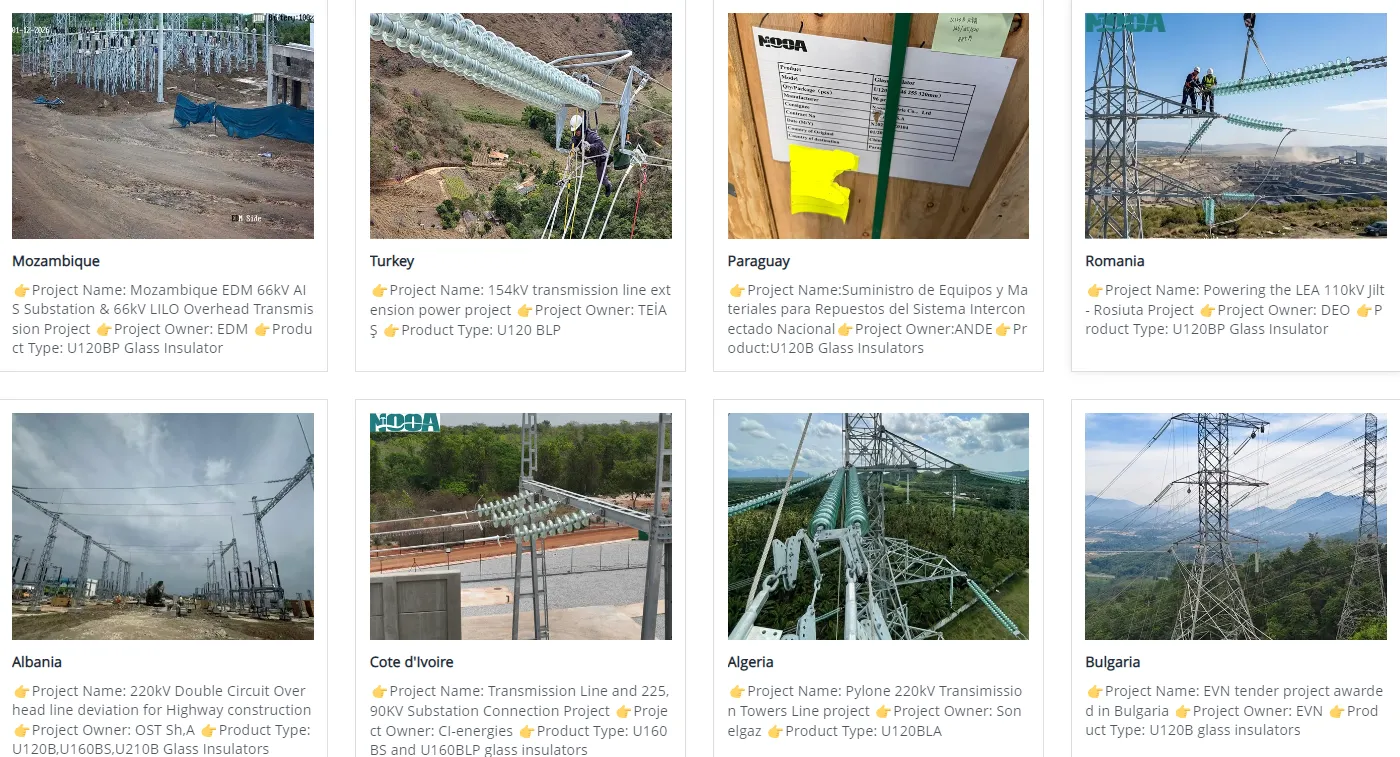 suspension insulators projects 